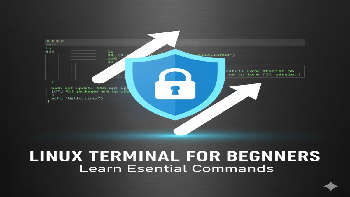 How to Use the Linux Terminal for Beginners