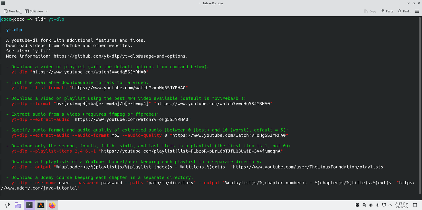 Running the tldr command.